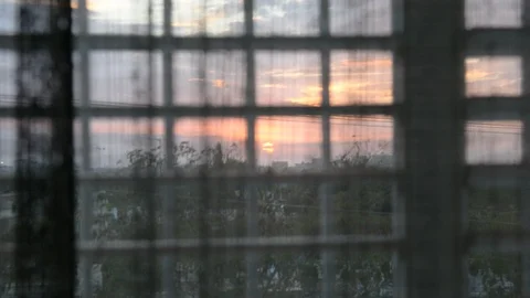 View of the sunset from the window  through transparent curtain 動画素材 98422245