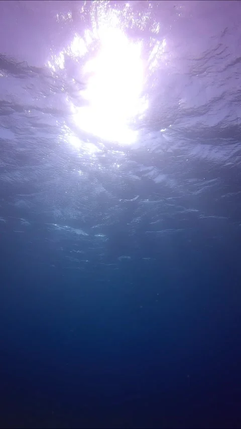 View of sunshine with ripples on waves surface from the depth, slow motion Stock Footage 255109240