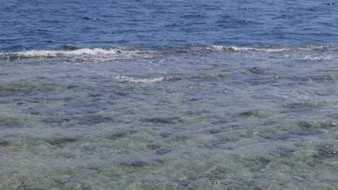 View of the surf on a coral beach in egypt Stock Footage 162760184