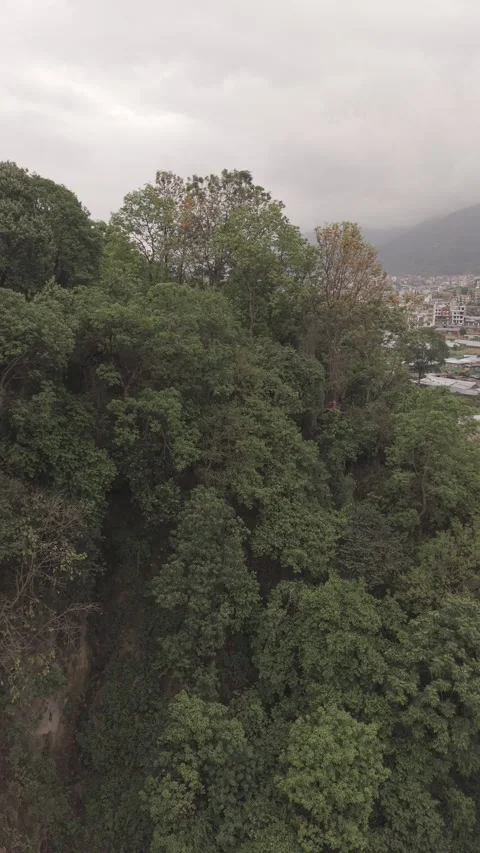 View from suspension bridge Stock Footage 334373025