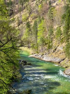 View from the suspension bridge to a mountain river flowing among the mountai Stock Photos
