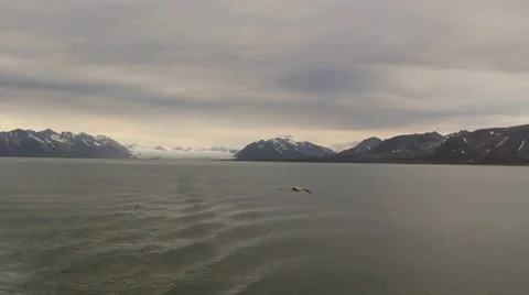 View to Svalbard from floating vessel. Video stock 63121475