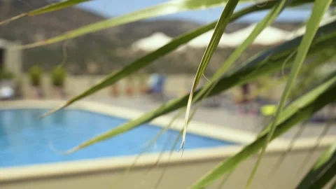View of a swimming pool with palm leaves in the foreground, vacation atmosphere Stock Footage 328674977