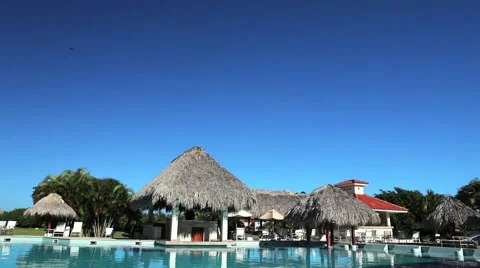 View from the swimming pool to the palm trees. Stock Footage 52082007
