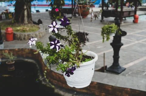  View On Swimming Pool Stock Photos