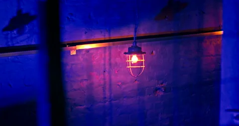 View of swinging loft-style lantern with electric bulb through a metal mesh Stock Footage 171892631
