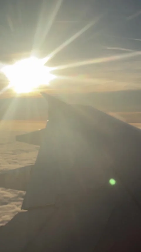 View of the Swiss Alps from the window of a plane Vidéo 303956963