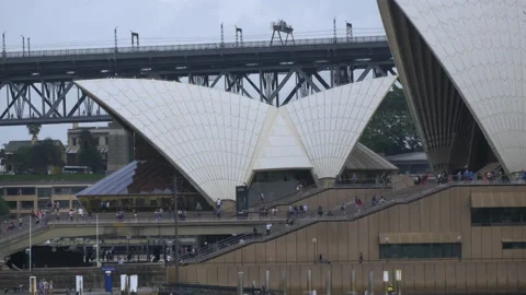 View Of Sydney Opera House From The Botanical Gardens In Sydney, Australia Stock Footage 158904884