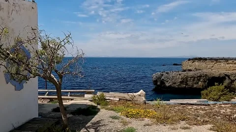 View from Tabarca Island in Spain Stock Footage 309864443