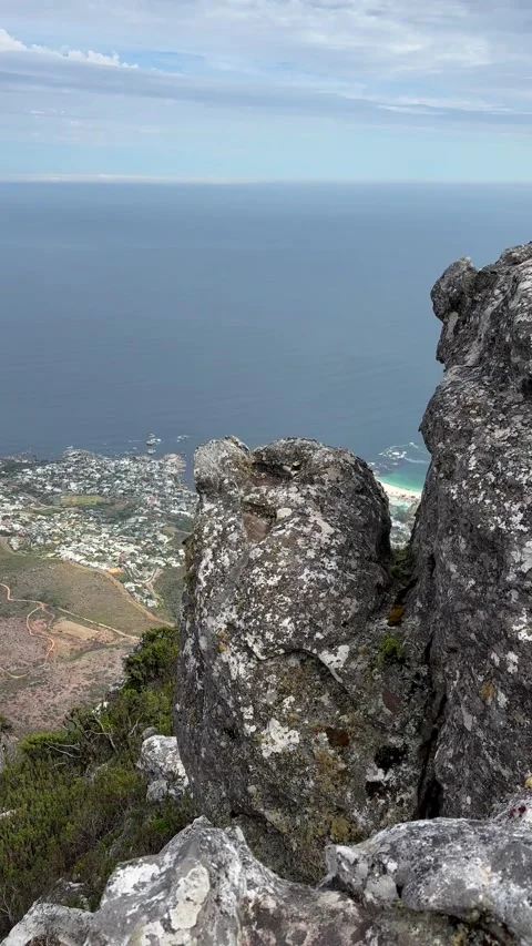 View from Table Mountain in Cape Town Video stock 336648331