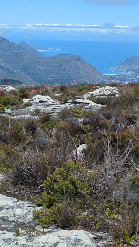 View from Table Mountain to Haut Bay Stock Footage 300354556