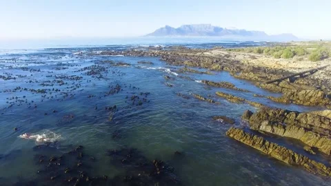 View of Table Mountain from Robben Island Stock Footage 241710374