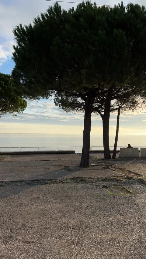 View of Tagus river from Nations Park in Lisbon in winter. Vertical video Stock Footage 241023614