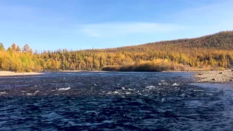 View of the taiga and the flow of the river. Chulman river in autumn 스톡 동영상 222720773