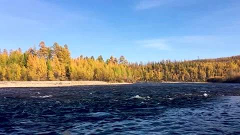 View of the taiga and the flow of the river. Chulman river in autumn Stock Footage 222720808