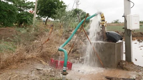 View of taking out ground water with help of water pump to irrigate fields Stock-Footage 156990822