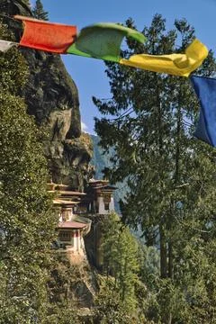 View of Taktshang Monastery through prayer flags 库存照片
