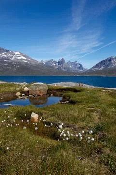 View from tasiusaq Foto stock