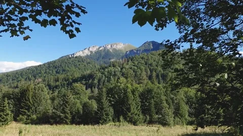 View of the Tatra Mountains, in the foreground with a green branch of a dec.. Stock Footage 256042895