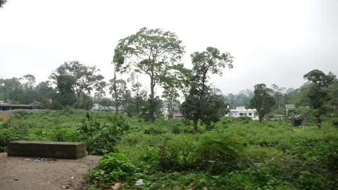 View of tea fields in Kerala, Tea plantation footage Video stock 156968743