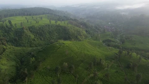 View of tea plantation, trees, river and hills in the morning in Ciwidey 스톡 동영상 281146565
