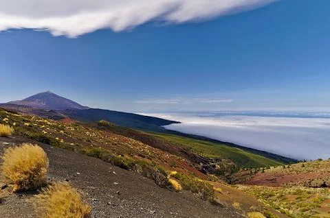 View on the Teide along the road Stock-Fotos