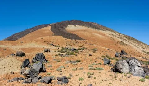 View of the Teide Mount and Teide Eggs. Beautiful view of the lava flows on t Foto stock