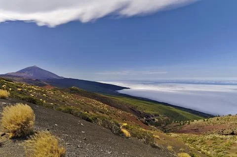 View on the Teide from a viewing spot along the road through the national parc. Stockfoto's