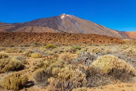View of Teide volcano in Teide National Park, Tenerife island Stock Photos