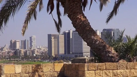View of Tel Aviv from Jaffa District Stock Footage 70528077