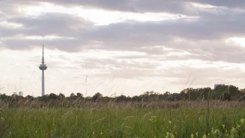 View of Television tower of Mannheim and meadow Video stock 144993541