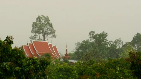 View of temple and trees are moving by storm, country side  Chiangmai Thailand. Stock Footage 239387709