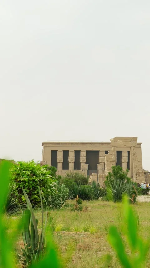View of the temple of Dendera or the Temple of Hathor in Egypt. Vertical video. Видео 334730759