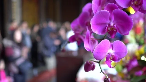 The view of temple. Video stock 100513860