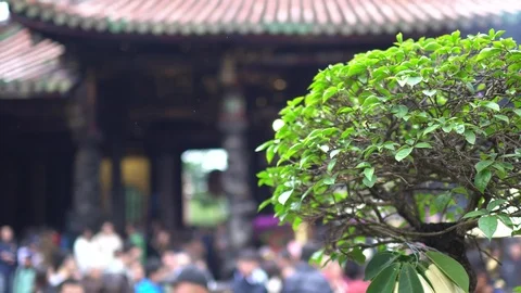 The view of temple. Stock Footage 100516938