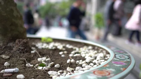 The view of temple. Stock Footage 100519354