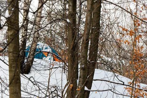 View of a tent behind trees in forest in winter Stock Photos