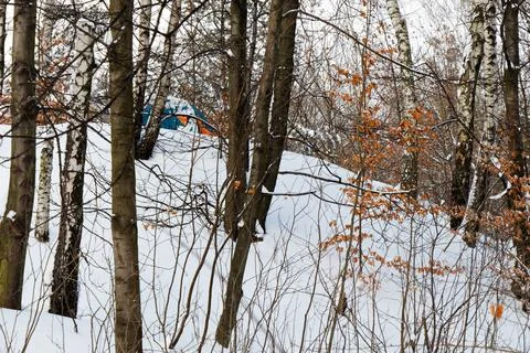 View of a tent behind trees in forest in winter Stock Photos
