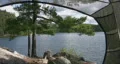 View from the tent. HD Footage