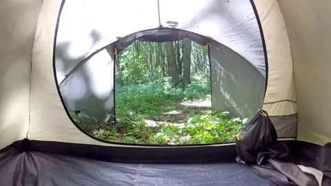 View from the tent. Stock Footage 79217723