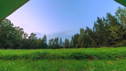 View from tent on forest meadow. 4k time lapse. Stock Footage 161777184