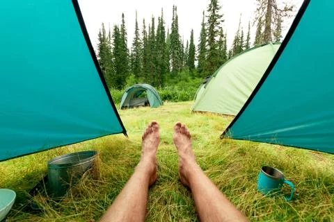 View from the tent. Stock Photos