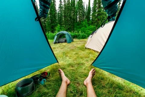 View from the tent. Foto stock