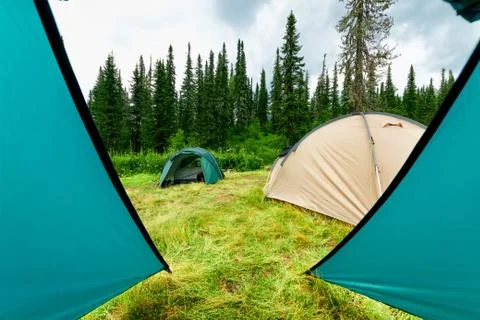 View from the tent. Foto stock
