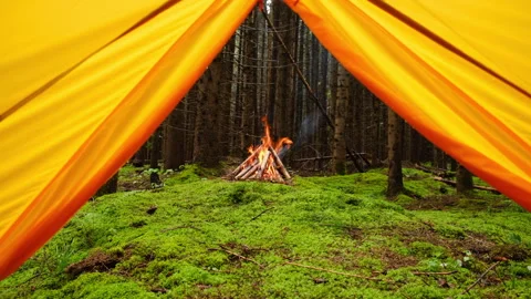 View from tent on warm campfire and calm rain in spruce forest Stock Footage 335230954