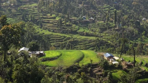 View of terraced green fields and rural houses, Nepal. 스톡 동영상 335604186
