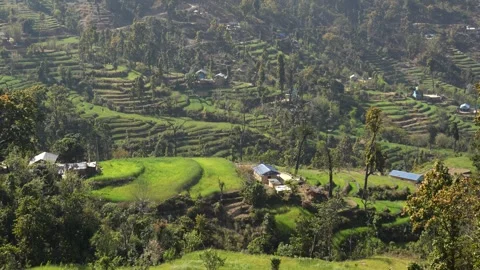View of terraced green fields and rural houses on a hillside, Nepal. Stock Footage 335604190