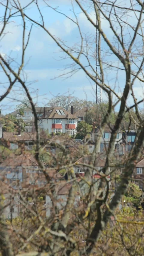 View Of A Terraced House. Seen Through Branches. Stock Footage 196979446