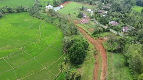 View of terraced rice fields 스톡 동영상 282270602