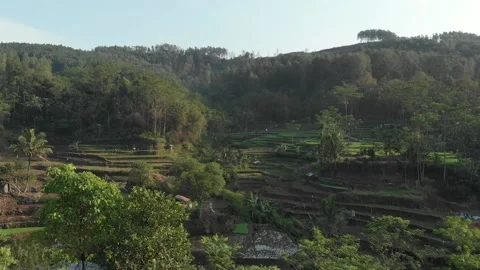 The view of terraces in the morning Stock Footage 147903589
